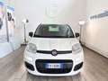 Fiat Panda 1.2 69 Cv Pop Weiß - thumbnail 2