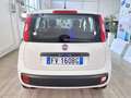 Fiat Panda 1.2 69 Cv Pop Weiß - thumbnail 5
