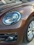 Volkswagen Coccinelle DSG7 1,2 TSI 105 CH 6CV - thumbnail 4
