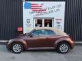 Volkswagen Coccinelle DSG7 1,2 TSI 105 CH 6CV - thumbnail 5
