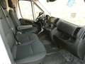 Fiat Ducato Ducato 2,2 Multijet L4 Autm neu motor 64 tkm Weiß - thumbnail 9
