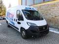 Fiat Ducato Ducato 2,2 Multijet L4 Autm neu motor 64 tkm Weiß - thumbnail 3