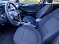 Ford Focus Turnier 1.5 EcoBlue Aut. TITANIUM,ACC,LED,Wipkt Gris - thumbnail 14