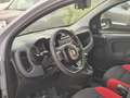 Fiat Panda 1.2 Lounge ok neopatentato Gris - thumbnail 11