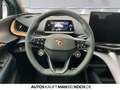 CUPRA Tavascan VZ 4Drive 250kW/77kWh SHZ PDC Bluetooth Blau - thumbnail 9