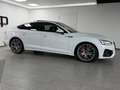 Audi S5 Sportback TDI PANO Sportsitze B&O MATRIX-LED Weiß - thumbnail 25
