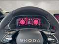 Skoda Octavia Limousine 2.0 TSI DSG 4x4 RS +ACC+BHZFS+360°+NA... Gris - thumbnail 14