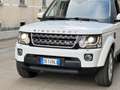 Land Rover Discovery 4 3.0 SDV6 249cv Euro6 auto 4X4 + Ridotte 7P-ti SE bijela - thumbnail 2