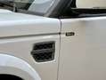 Land Rover Discovery 4 3.0 SDV6 249cv Euro6 auto 4X4 + Ridotte 7P-ti SE bijela - thumbnail 15