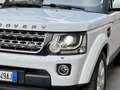 Land Rover Discovery 4 3.0 SDV6 249cv Euro6 auto 4X4 + Ridotte 7P-ti SE Weiß - thumbnail 3