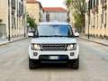 Land Rover Discovery 4 3.0 SDV6 249cv Euro6 auto 4X4 + Ridotte 7P-ti SE White - thumbnail 4