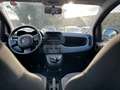 Fiat New Panda 1.0 FireFly Hybrid Gris - thumbnail 19