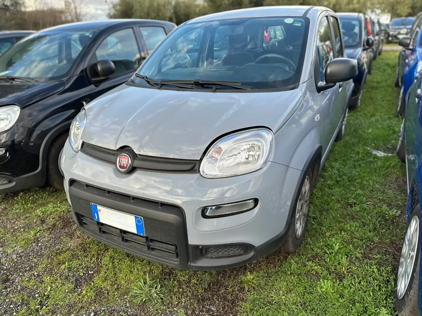 Fiat New Panda 1.0 FireFly Hybrid Gris - 1
