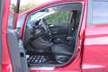 Ford Fiesta Fiesta Active 1.5 tdci 85cv my18 Rosso - thumbnail 13