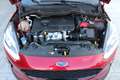 Ford Fiesta Fiesta Active 1.5 tdci 85cv my18 Rosso - thumbnail 12