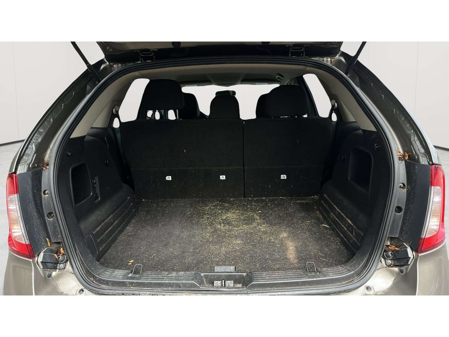 Image 19