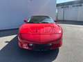 Pontiac Trans Am Firebird  AUT Rot - thumbnail 3