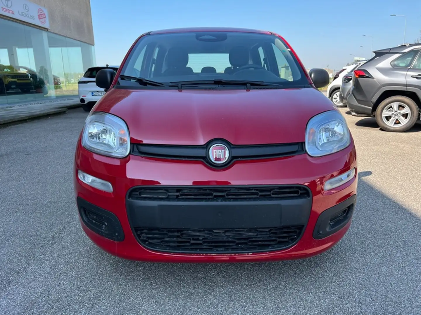 Fiat Panda My25 1.0 70cv Hybrid Panda Rojo - 2