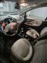 Fiat Punto Evo 5p 1.3 mjt Emotion s&s 95cv - thumbnail 7