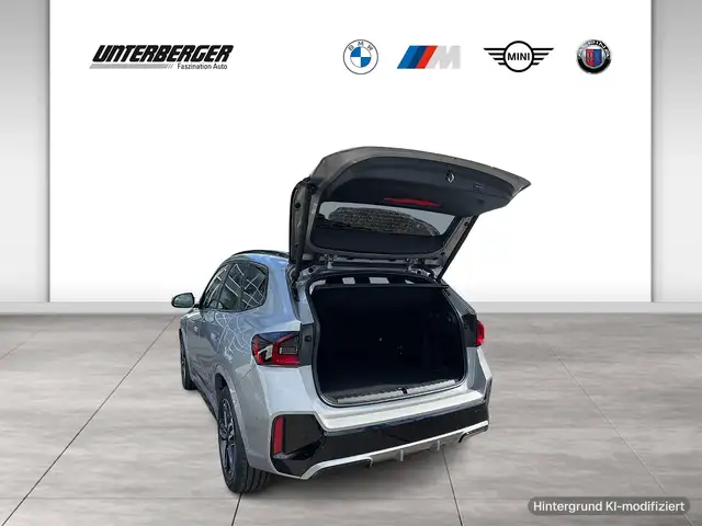 BMW X1 view 12