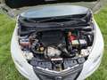 Lancia Ypsilon 1.3 mjt Silver s&s 95cv E5+ Bianco - thumbnail 7