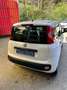 Fiat Panda 1.3 mjt 16v Easy s&s 95cv Blanc - thumbnail 6