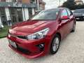 Kia Rio 1.0 t-gdi mhev Style s/Comfort Pack 100cv imt Red - thumbnail 2