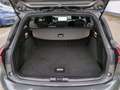 Ford Focus Turnier ST-Line Automatik LED ACC Navi City Stop W Grigio - thumbnail 7