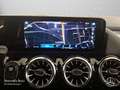 Mercedes-Benz EQA 250 PROG+PLUS-PAKET+360+EDW+KEYLESS+SPUR Silber - thumbnail 16
