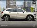 Mercedes-Benz EQA 250 PROG+PLUS-PAKET+360+EDW+KEYLESS+SPUR Silber - thumbnail 23