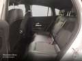 Mercedes-Benz EQA 250 PROG+PLUS-PAKET+360+EDW+KEYLESS+SPUR Silber - thumbnail 12