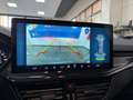 Ford Focus SW 1.5 ecoblue ST-Line 115cv aut. IVA ESP. KM ZERO Gris - thumbnail 12