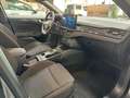 Ford Focus SW 1.5 ecoblue ST-Line 115cv aut. IVA ESP. KM ZERO Gris - thumbnail 11