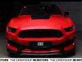 Ford Mustang 5,2L V8 GT *Shelby GT 350*Perfekt* Rouge - thumbnail 10