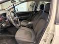 Fiat Punto 1.3 -MJT II 75 CV 5 porte Street ok neopatentati Bianco - thumbnail 7