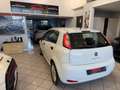 Fiat Punto 1.3 -MJT II 75 CV 5 porte Street ok neopatentati Bianco - thumbnail 12