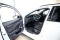 Skoda Octavia RS PLUG IN HYBRID | BTW | PANO | HEAD UP | KEYLES Blanc - thumbnail 16