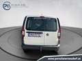 Volkswagen Caddy Cargo TDI Weiß - thumbnail 4