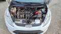 Ford Fiesta Titanium 1.25 Inspekrtion+Kupplung NEU* Biały - thumbnail 14
