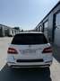 Mercedes-Benz ML 250 BlueTEC 4MATIC 7G-TRONIC - thumbnail 5
