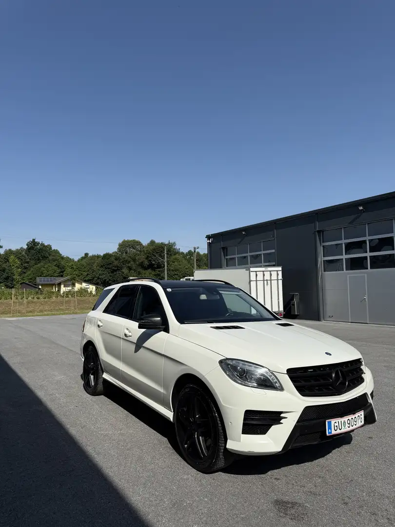 Mercedes-Benz ML 250 BlueTEC 4MATIC 7G-TRONIC - 1