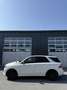 Mercedes-Benz ML 250 BlueTEC 4MATIC 7G-TRONIC - thumbnail 4
