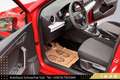 SEAT Arona Austria Edition 1,0 TSI // NUR 9.000 KM //GARANTIE Rosso - thumbnail 13