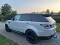 Land Rover Range Rover Sport Range Rover Sport TDV6 HSE Gris - thumbnail 4