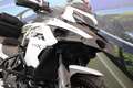 Benelli TRK 502 X ABS A2 - 2022 - km 13273 Bianco - thumbnail 12