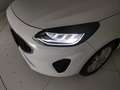 Ford Fiesta 5p 1.1 Titanium 75cv Bianco - thumbnail 6