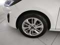 Ford Fiesta 5p 1.1 Titanium 75cv Bianco - thumbnail 5