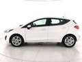 Ford Fiesta 5p 1.1 Titanium 75cv Bianco - thumbnail 2