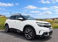 Citroen C5 Aircross BlueHDi S&S Shine EAT8 180 Blanco - thumbnail 4
