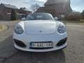 Porsche Boxster Spyder 987 in Perfecte Staat 29000km!! Weiß - thumbnail 5